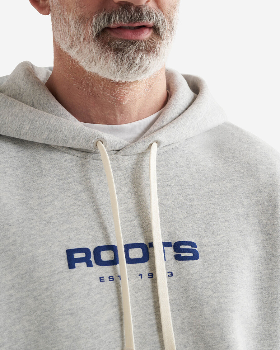 alpine goods hoodie