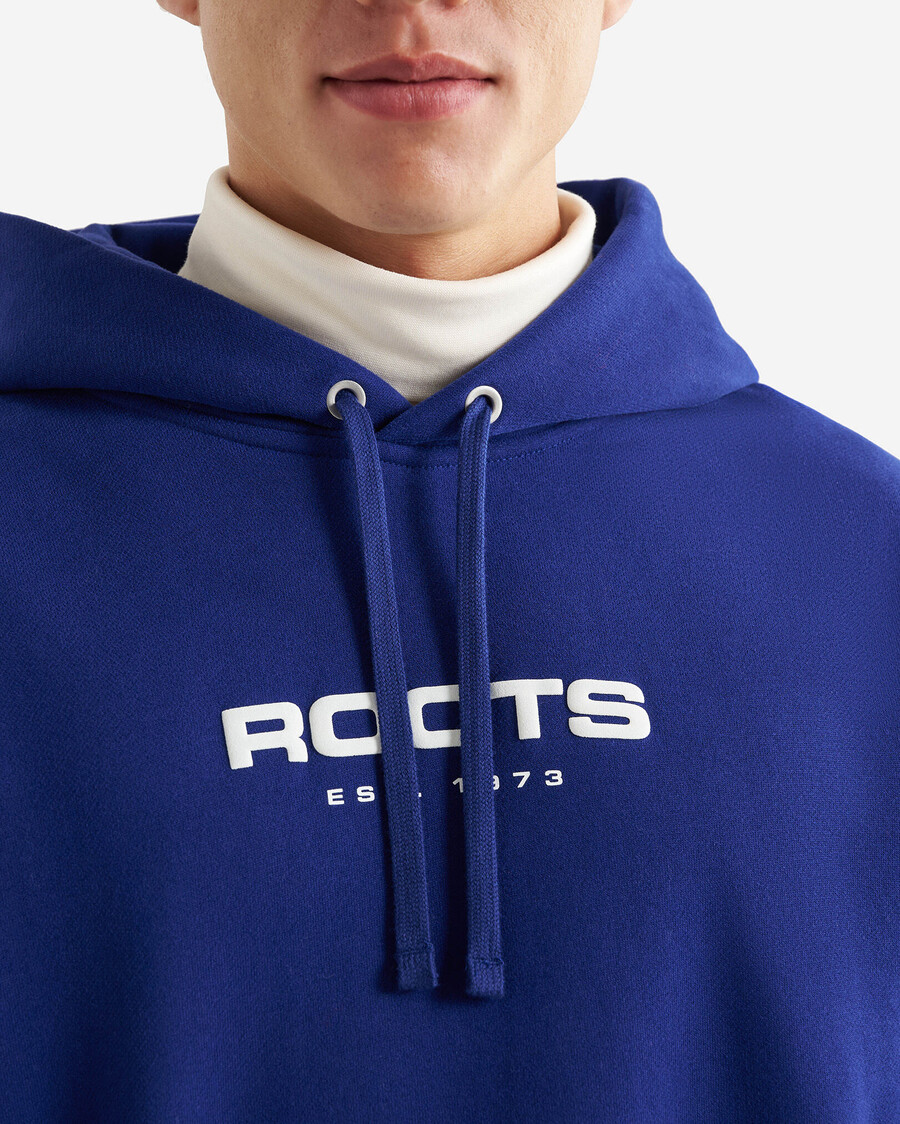 alpine goods hoodie