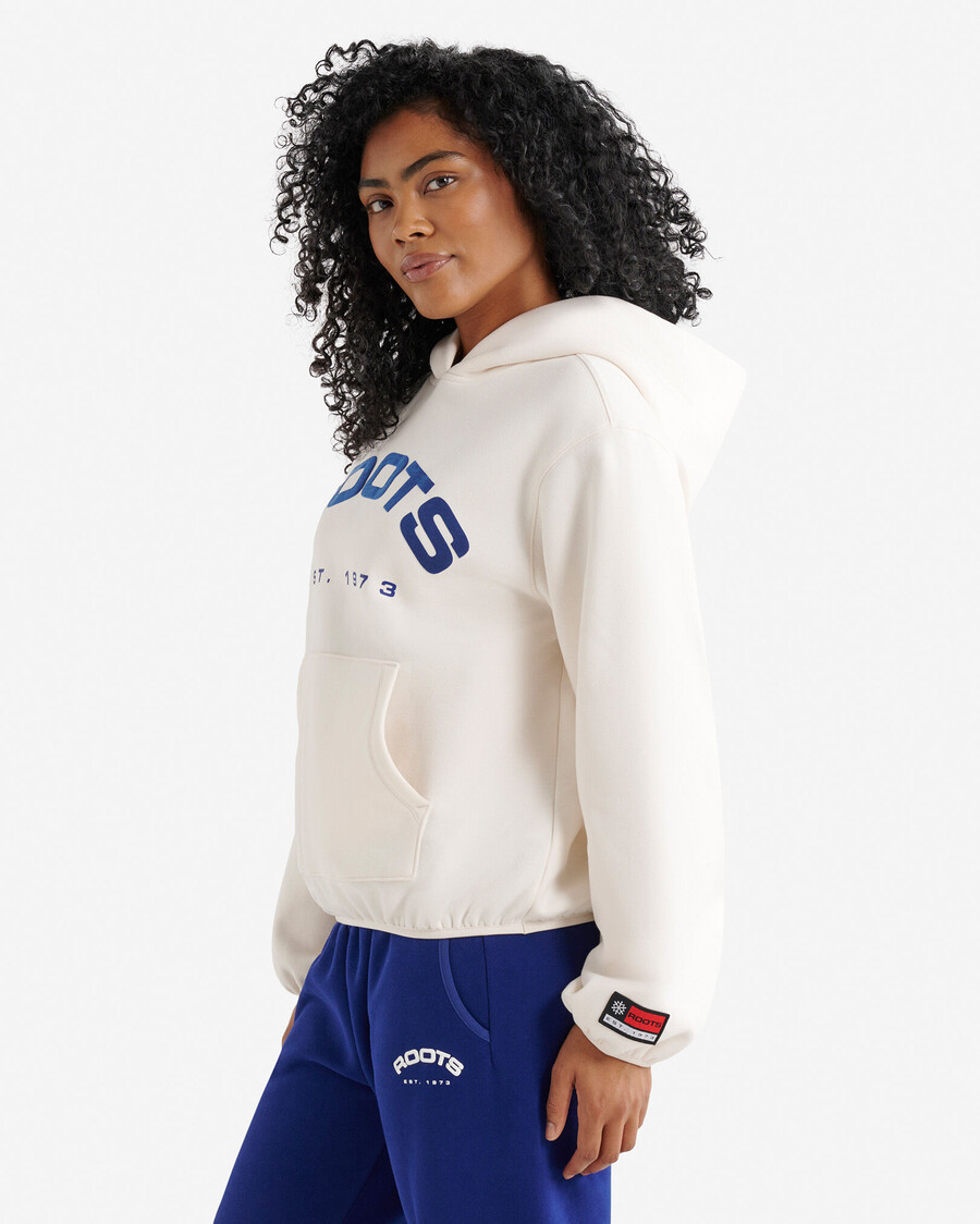alpine goods hoodie