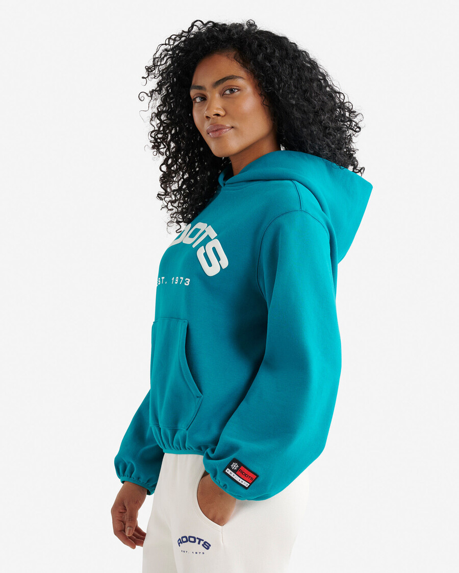 alpine goods hoodie