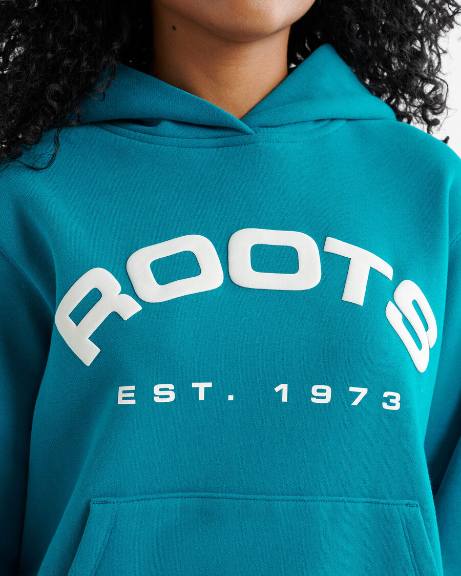 alpine goods hoodie