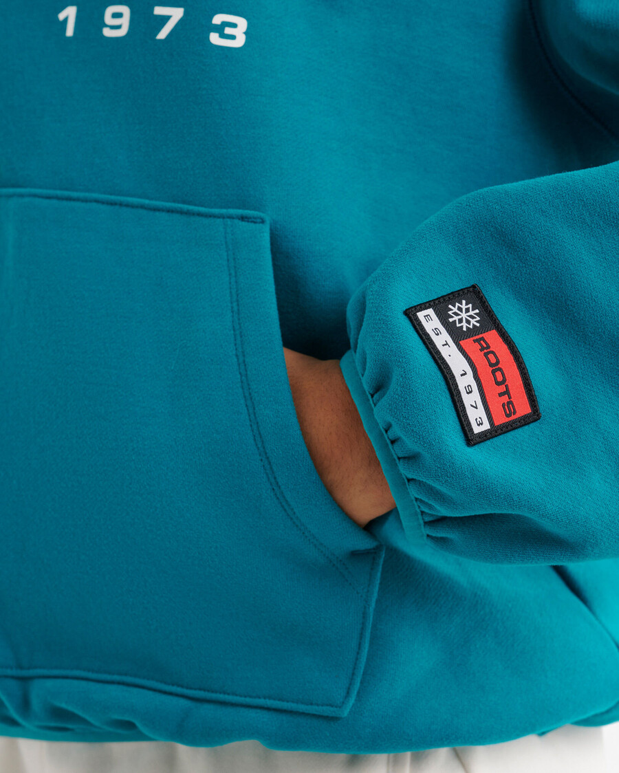 alpine goods hoodie